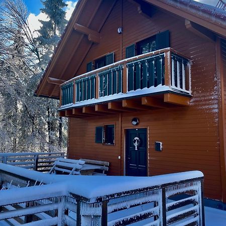 Chalet Anra Pohorje Zgornje Hoce Экстерьер фото