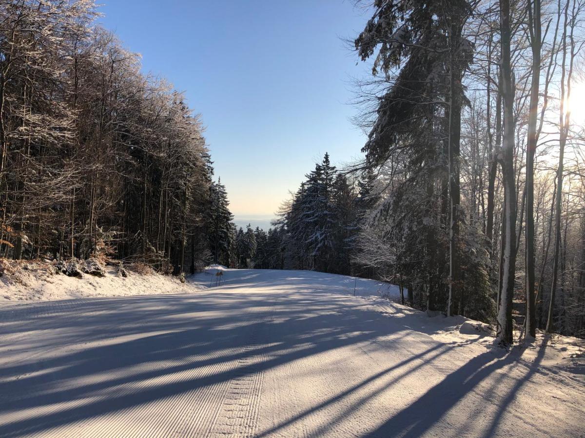 Chalet Anra Pohorje Zgornje Hoce Экстерьер фото