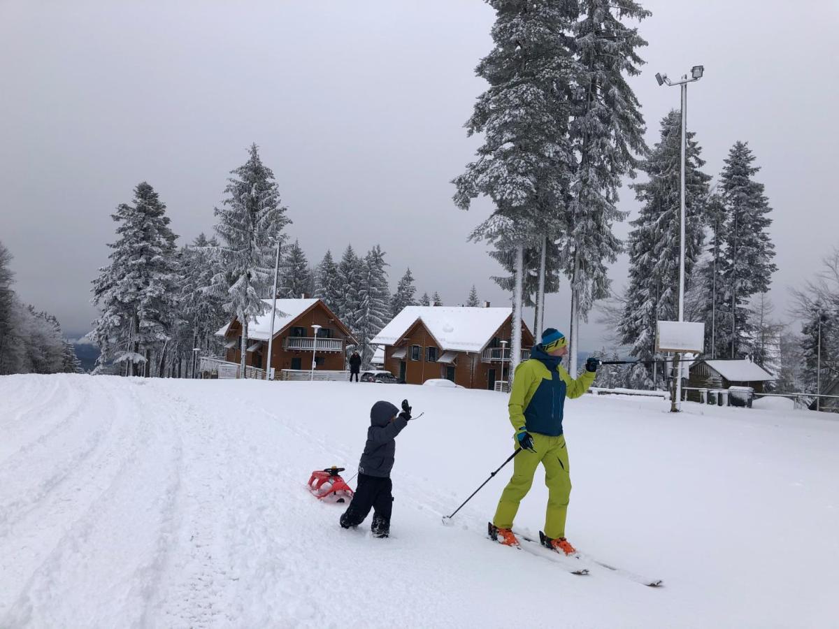 Chalet Anra Pohorje Zgornje Hoce Экстерьер фото