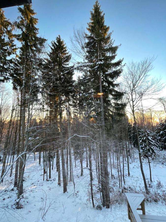 Chalet Anra Pohorje Zgornje Hoce Экстерьер фото