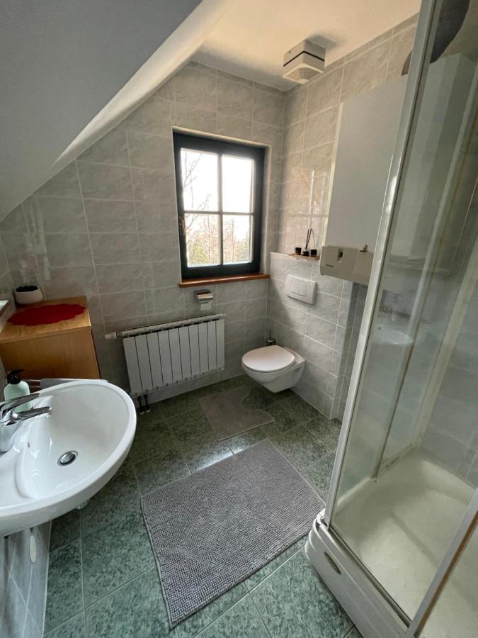 Chalet Anra Pohorje Zgornje Hoce Экстерьер фото