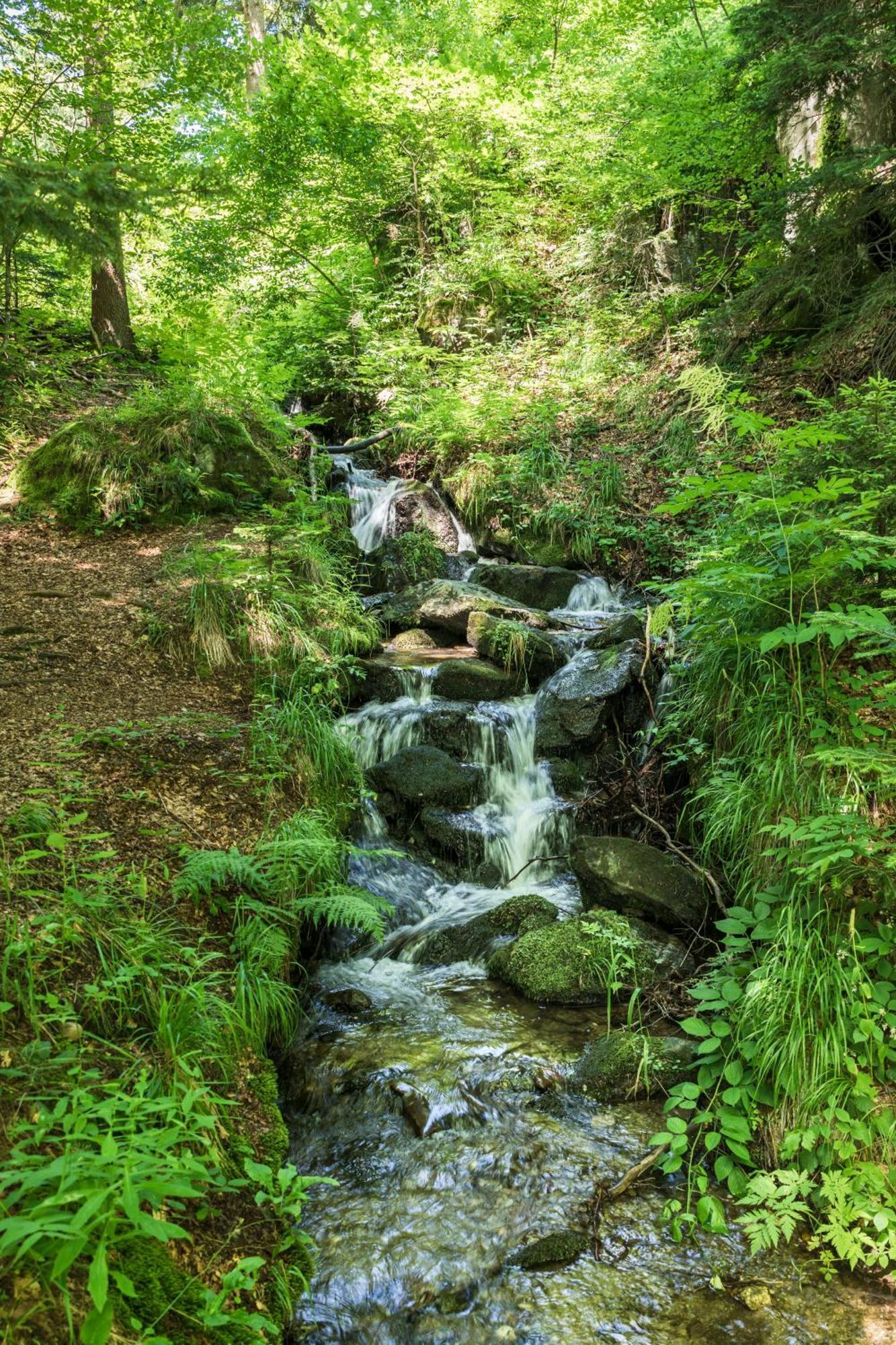 Chalet Anra Pohorje Zgornje Hoce Экстерьер фото